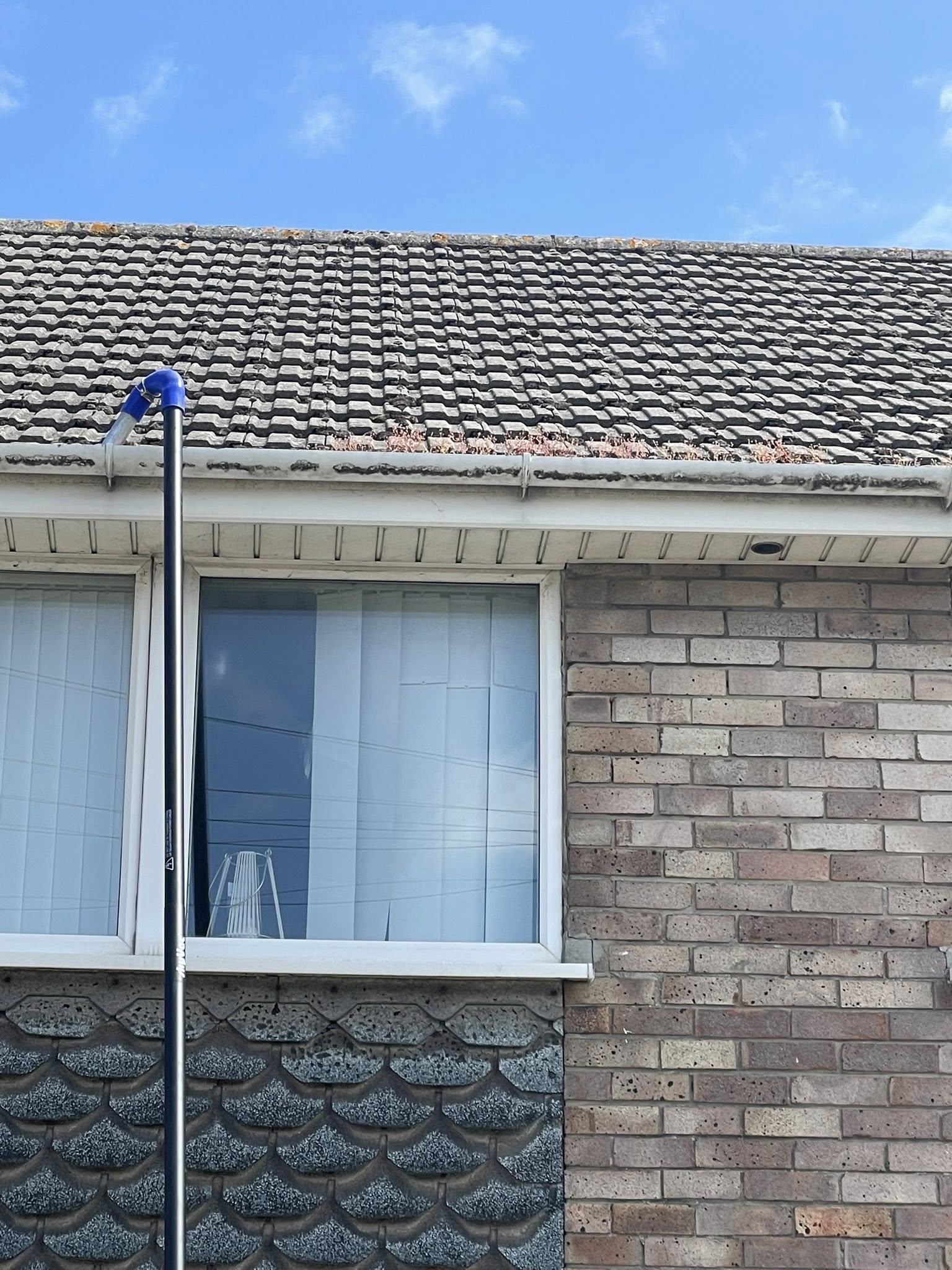 Gutter cleaning service